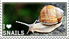 i heart snails