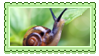 a snail on a leaf