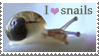 i heart snails