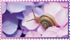 snail stamp