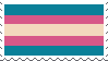 trans flag